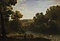 小川のある森の風景