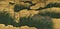 武蔵野図屏風（田家秋景）