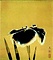 野芹一束（菖蒲）