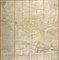 《江戸御大絵図》