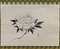 牡丹之図