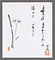 俳句俳画色紙「かせの月」