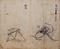 明治５年作成農具絵図とその関連資料群