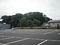 赤城神社の社叢林
