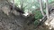 国分寺市重要史跡　恋ヶ窪村分水