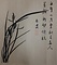 画巻｢五十二｣　7）蘭図