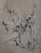 画巻｢五十二｣　24）山水図