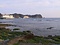 鯛の浦タイ生息地