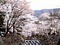 霞間ヶ渓（サクラ）