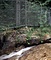 猿投山の球状花崗岩