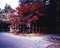 日吉神社境内
