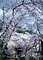花筐公園