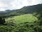 酒谷の坂元棚田及び農山村景観