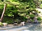 酒井氏庭園