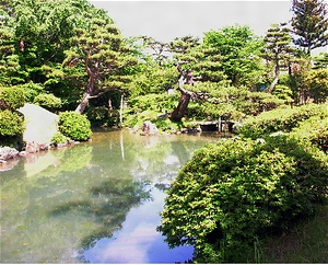 酒井氏庭園 さかいしていえん