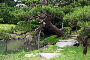 酒井氏庭園 さかいしていえん