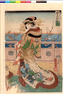 春の人気和意