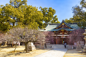 屯倉神社 社殿
