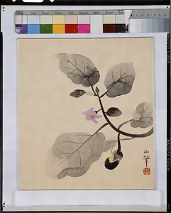 野芹一束（茄子）