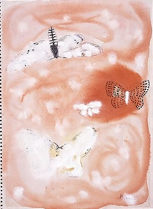 蝶と蛾（筆彩色素描集『蝶と蛾』)