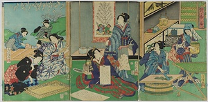 無題（蚕養草）