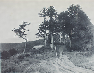 箱根関所跡と杉並木（『The Hakone District』）