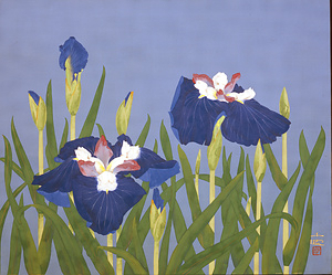 花菖蒲