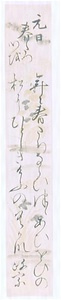 短冊(伊達政宗筆) 