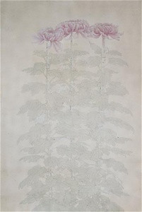 菊の写生