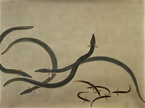 虫魚画巻 