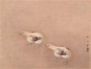 ひよこ