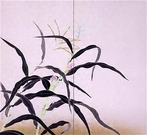 唐蜀黍(とうもろこし) 