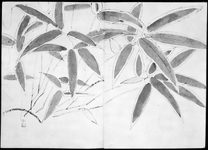 画帖(熊笹、笹ニヱビ、蛤、添竹、芍薬の花模写) 