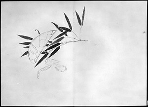 画帖(筍、筍子ゑび、橙子、ゑび等正月もの) 