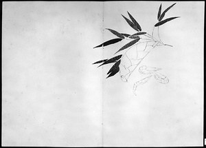 画帖(筍、筍子ゑび、橙子、ゑび等正月もの) 