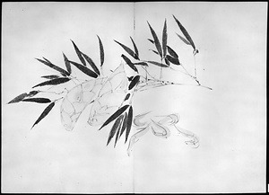 画帖(筍、筍子ゑび、橙子、ゑび等正月もの) 