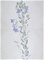 画帖(白百合、桔梗、女郎花、檜葉模写)