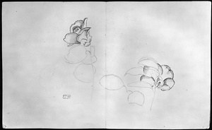 画帖(春禽趁晴写生、椿、ヒヨ) 