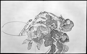 画帖 
