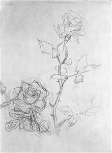 花(ばら)