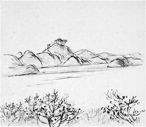 湖の風景