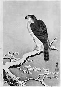 [鷹]