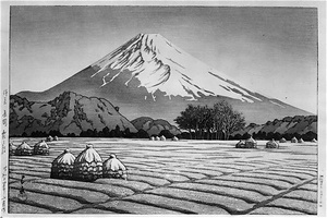 伊豆長岡霜の朝