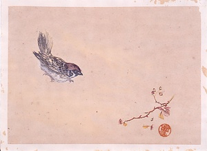 すずめ