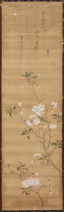 桜図画賛 さくらずがさん
