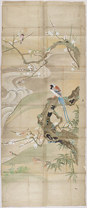探幽／花鳥図