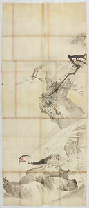 探幽／花鳥図 