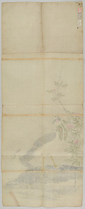 探幽／花鳥図 