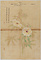 探幽／黄蜀葵図