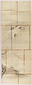 探幽／鶴亀松竹梅図 